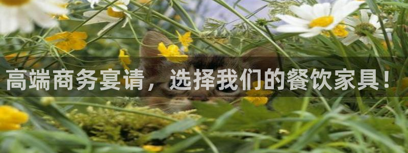 先锋娱乐是不是骗子