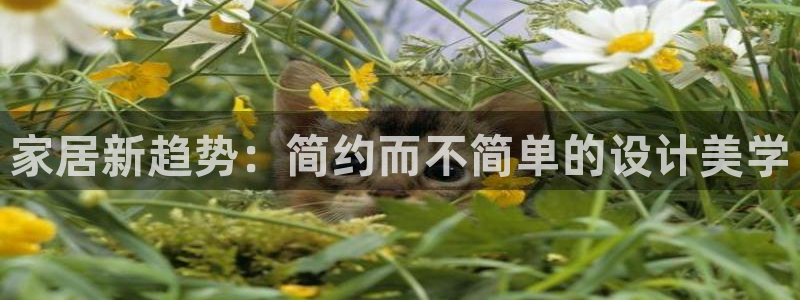 先锋娱乐游戏上分