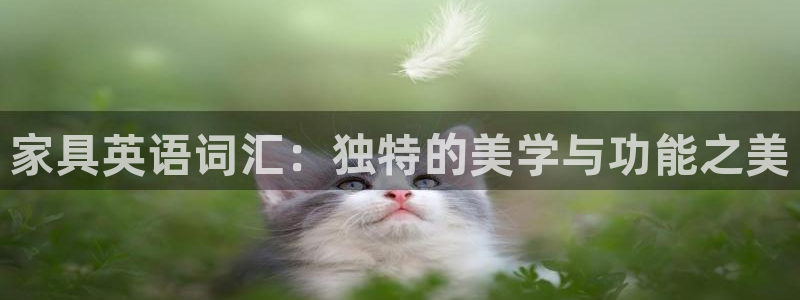 先锋娱乐游戏上分地址