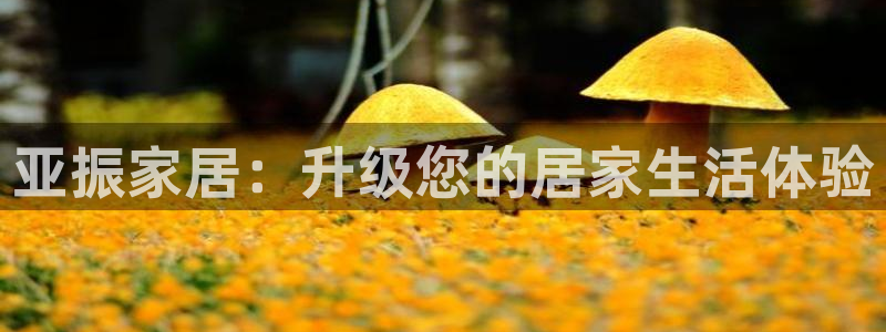 先锋娱乐会所地址