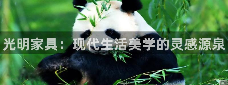 亚洲先锋娱乐登录