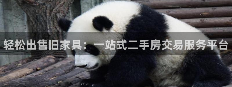 先锋娱乐理财logo