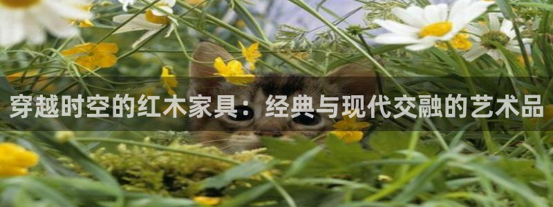 先锋 娱乐：穿越时空的红木家具：经典与现代交融的艺术品