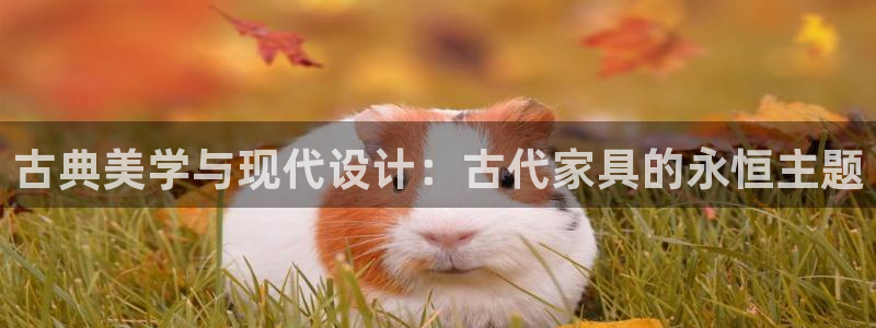 先锋娱乐官方：古典美学与现代设计：古代家具的永恒主题