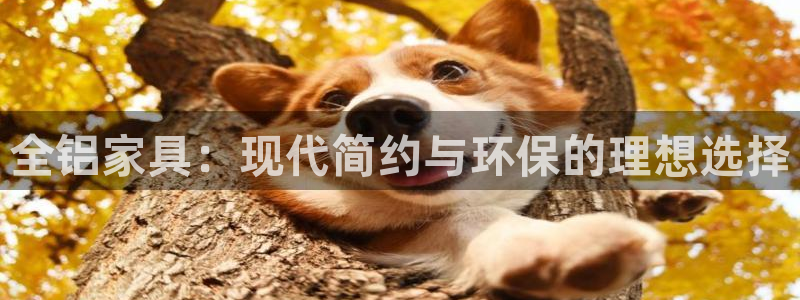 先锋娱乐棋牌